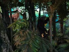 -国家自然博物馆