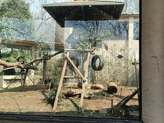 -合肥野生动物园