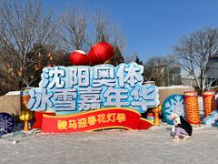 -沈阳奥体冰雪嘉年华
