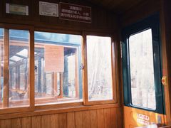 -合肥滨湖国家森林公园