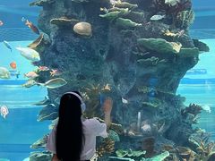 -福州罗源湾海洋世界旅游区