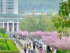 -武汉大学-樱园
