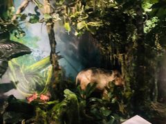 -重庆自然博物馆(新馆)