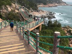 -广东惠东海龟国家级自然保护区