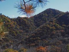 -玉渡山自然风景区