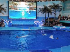 -海合安成都极地海洋公园