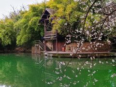 -西溪国家湿地公园