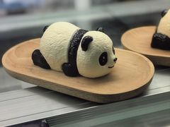 -轩客会(熊猫书店)