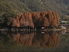 -梅州天地人花园酒店(梅县人民广场店)