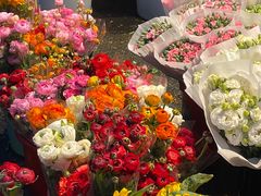 -循礼门鲜花花市(武汉循礼门店)