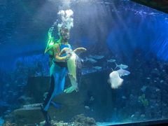-嘉兴海底世界