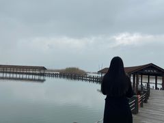 -太湖湖滨国家湿地公园-停车场