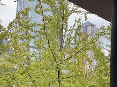 -柴门饭儿(成都太古里店)