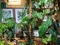 -Rabbit Cafe私房西餐甜点咖啡(栖霞路店)