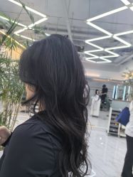 -秦·专注剪发