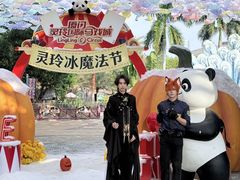 -灵玲国际马戏城