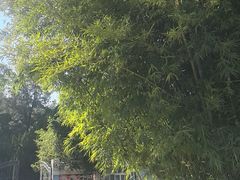 -庾园