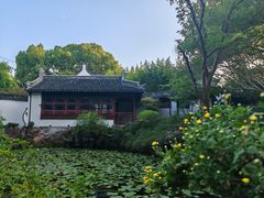 -上海醉白池公园