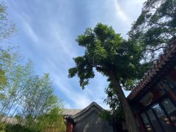 -Chateauform船山书院