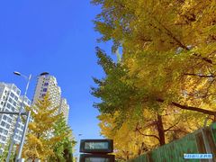 -辽东学院(南校区)