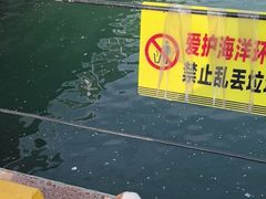 -中华人民共和国水准零点