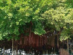 -胡里山炮台