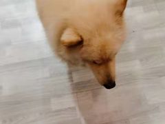 -肆兮眼镜·蔡司·徕卡战略合作店(大坪店)
