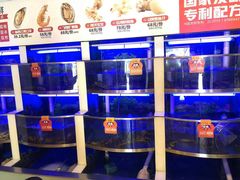 -七欣天香辣蟹火锅(苏州塔园路店)