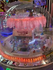 -meland club亲子乐园(重庆万象城店)
