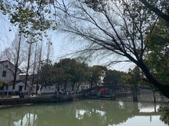 -金泽古镇