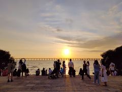 -宝安西湾红树林湿地公园