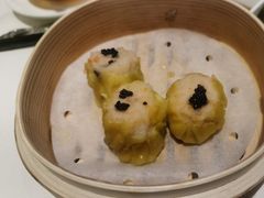 -翠园(北京王府中环店)