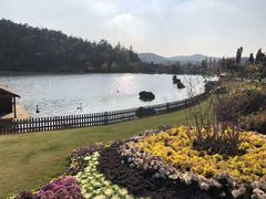 -南京银杏湖乐园