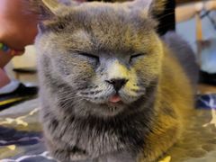-平行世界·猫咖(首经贸店)