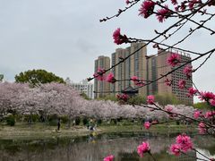 -堤角公园