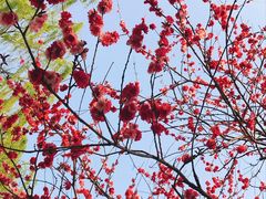 -西北湖绿化广场