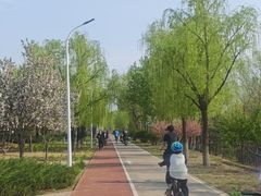 -绿堤公园