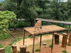 -云南野生动物园