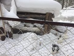 -葫芦古镇关东民俗雪乡