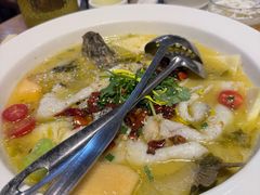 -花溪雨·森林餐厅(石基店)