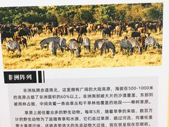 -正佳自然科学博物馆