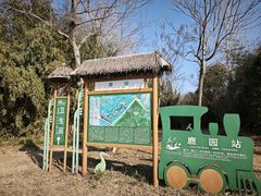 -泗洪洪泽湖湿地景区