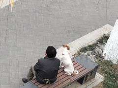 -德胜公园