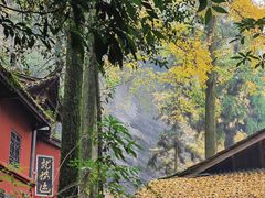 -青城山