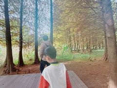 -溱湖国家湿地公园