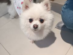 -怪兽屋·羊驼·猫咖·狗咖(俊华广场店)