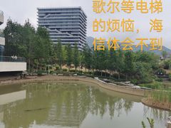 -小麦岛公园