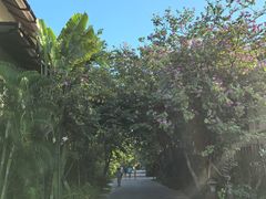 -三亚亚龙湾五号度假别墅酒店