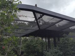 -新加坡飞禽公园