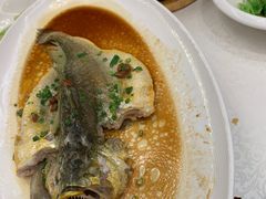 潮汕普宁豆蒸黄花鱼-维园悦谱·海派家常菜(乌鲁木齐南路店)